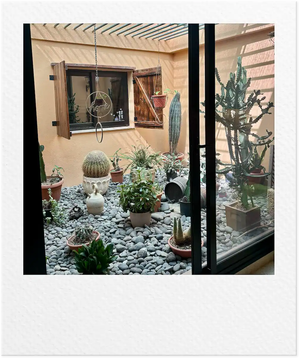 finca 13