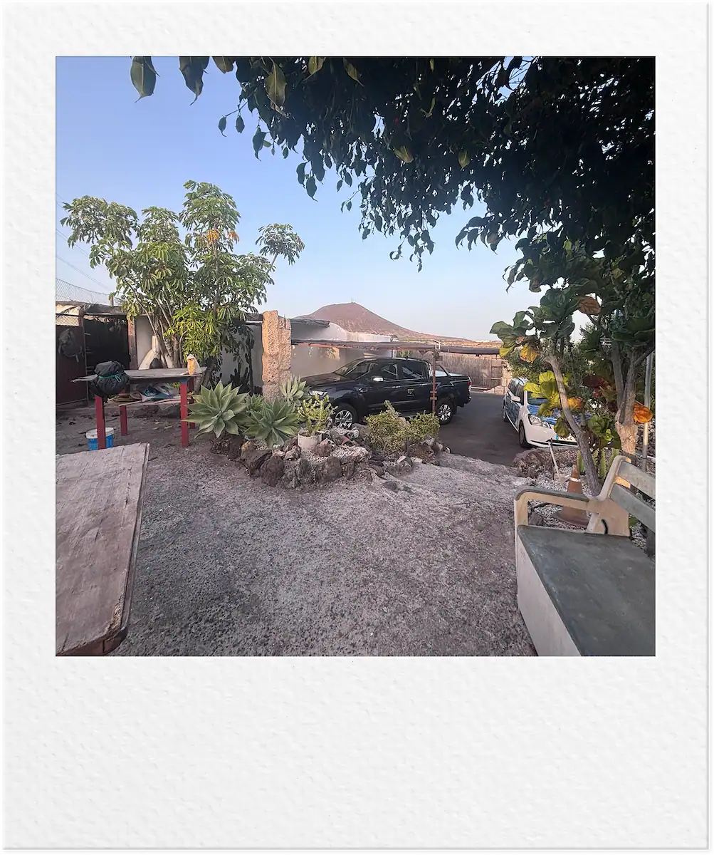 finca 6