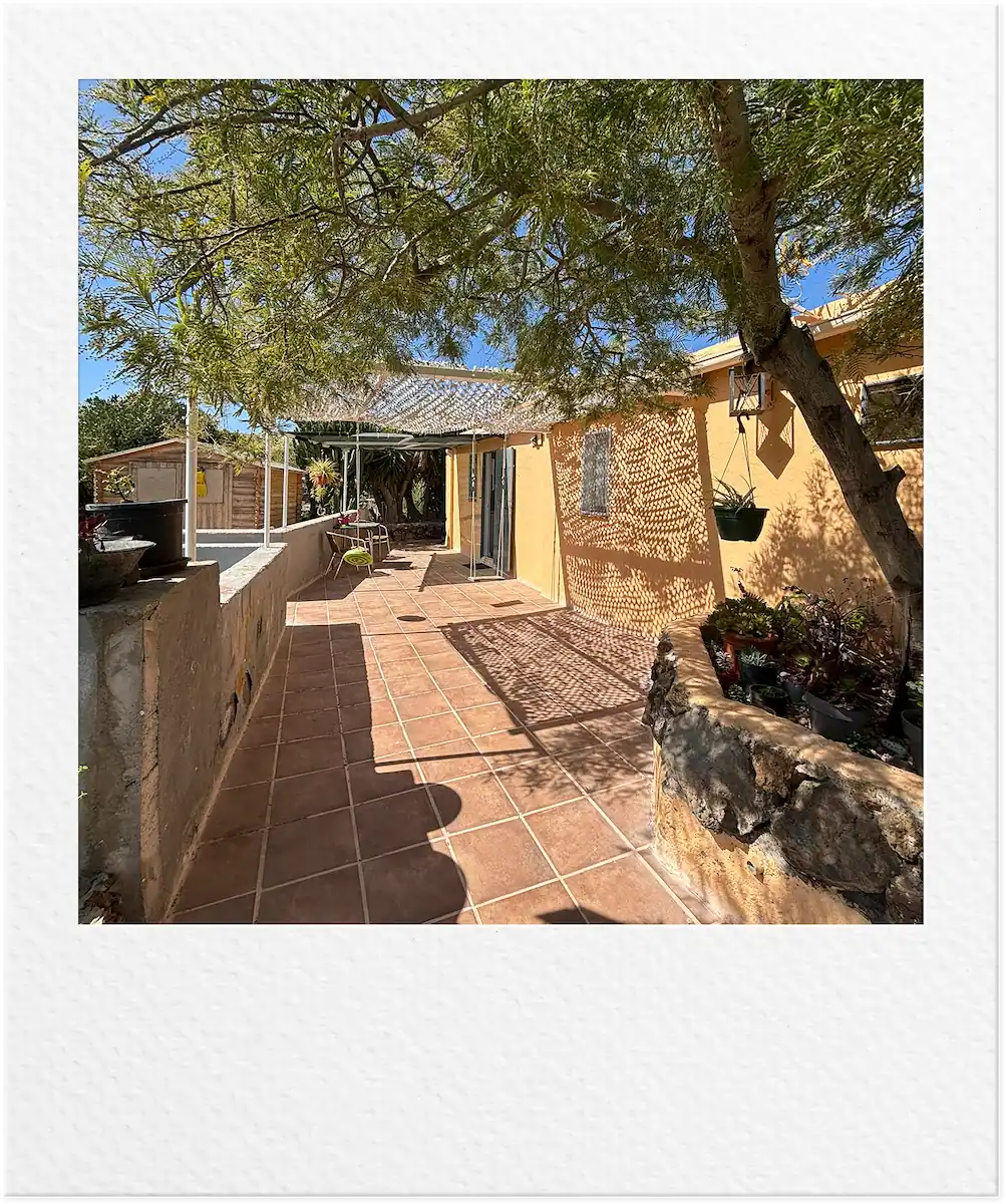 finca 9